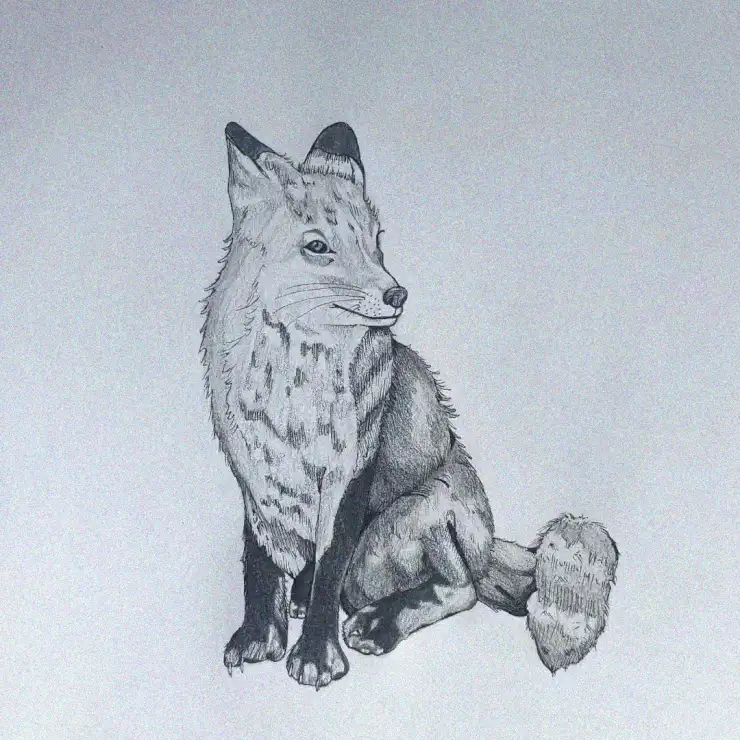 Attentive Fox in Majestic Repose