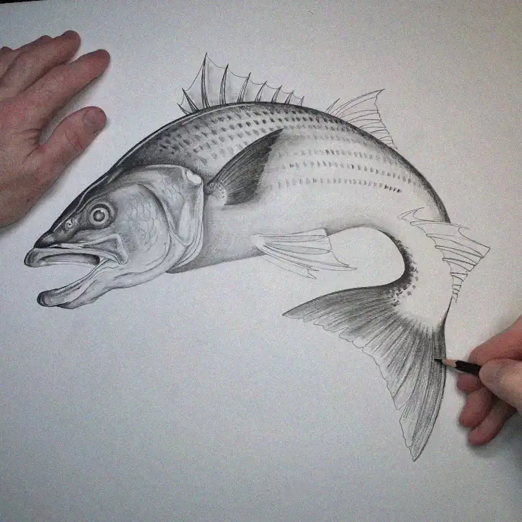 Artisan Crafting Hungry Fish Illustration
