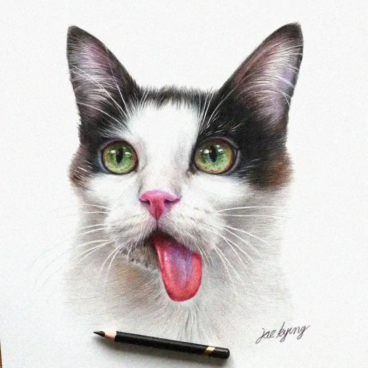 Whisker Winks: Playful Pencil Artistry