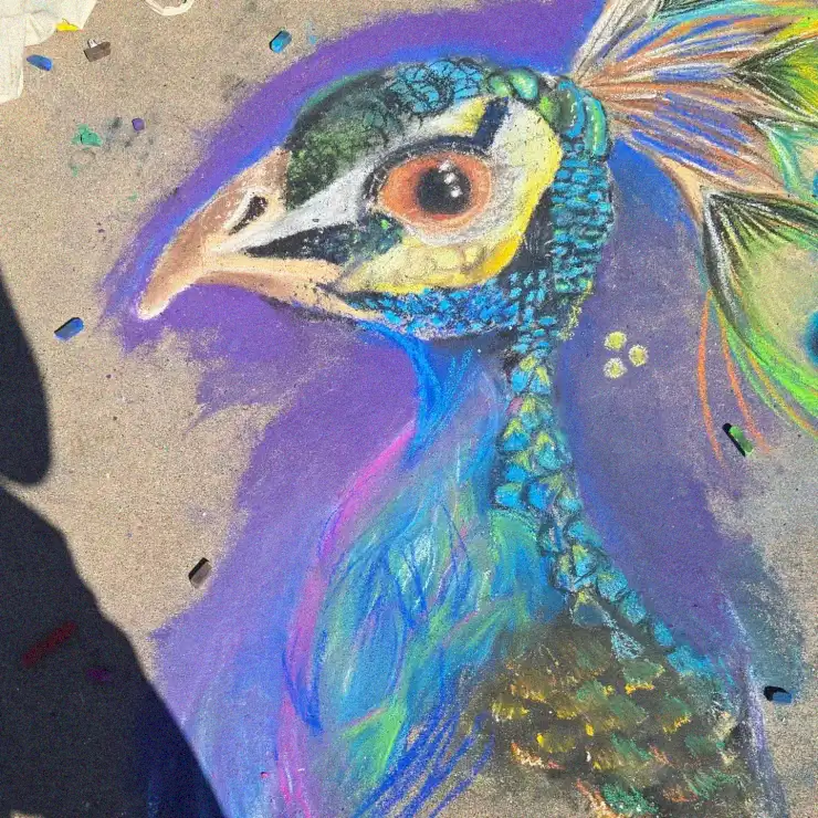 Colorful Pavement Sketch of a Peacock