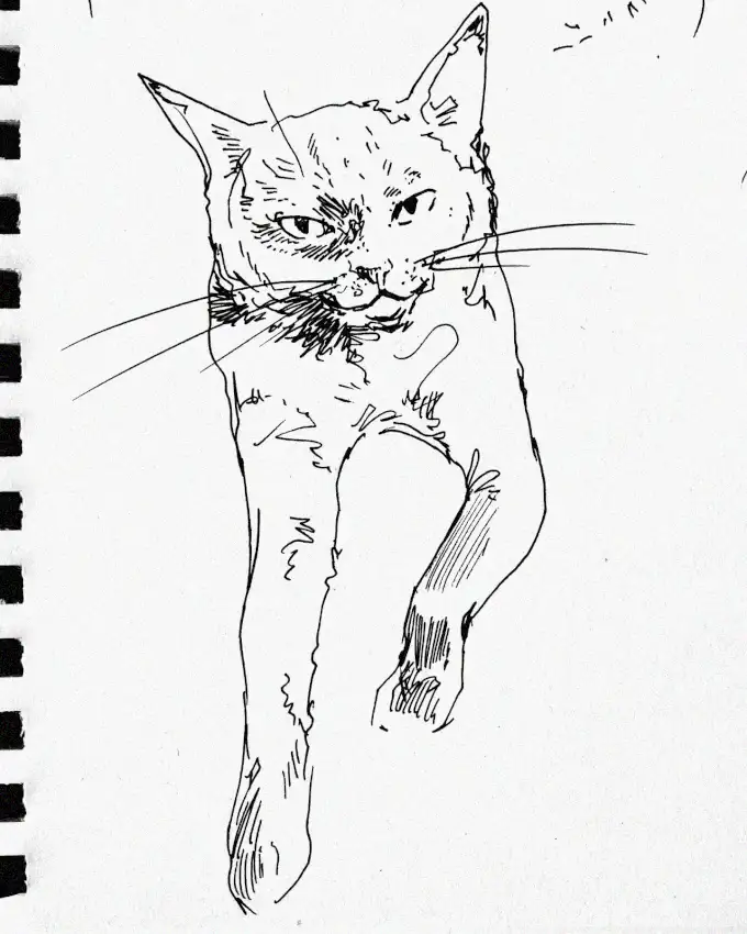 Sketch of a Seated Stern Cat