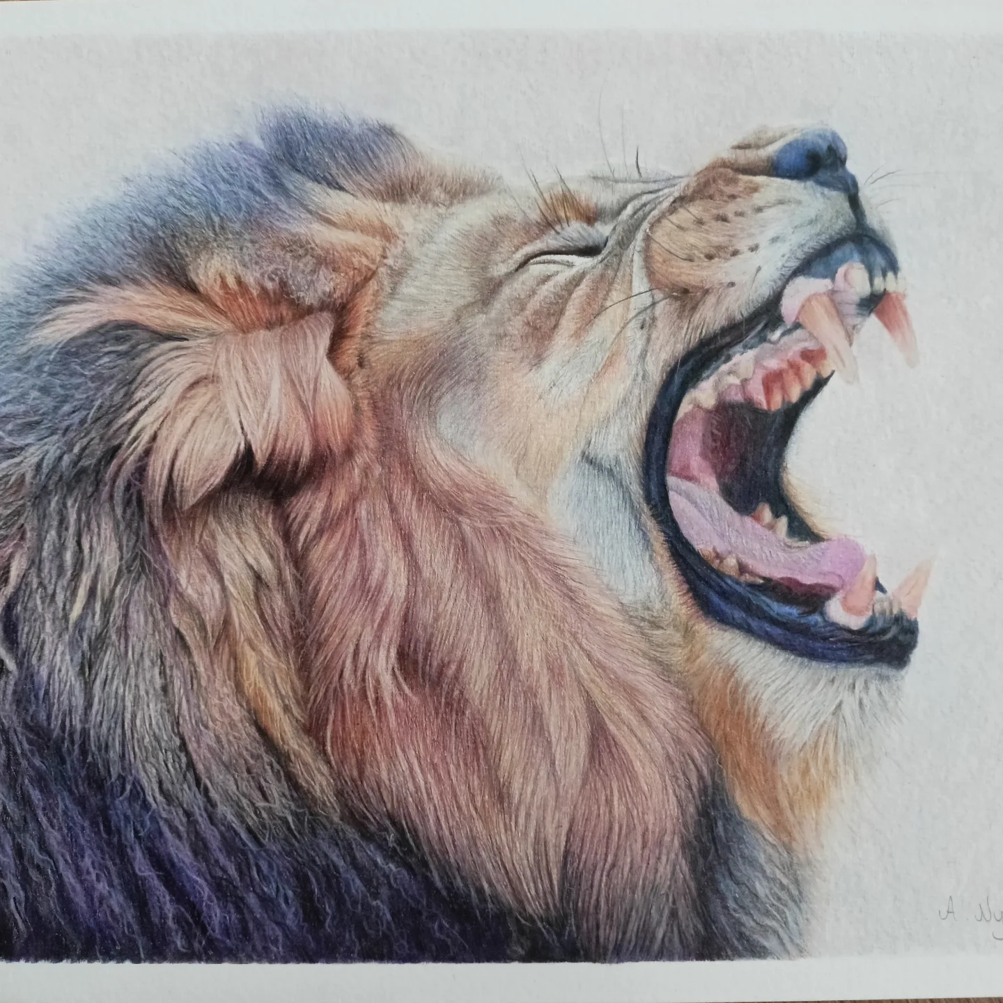 Roaring Lion in Vibrant Colored Pencil