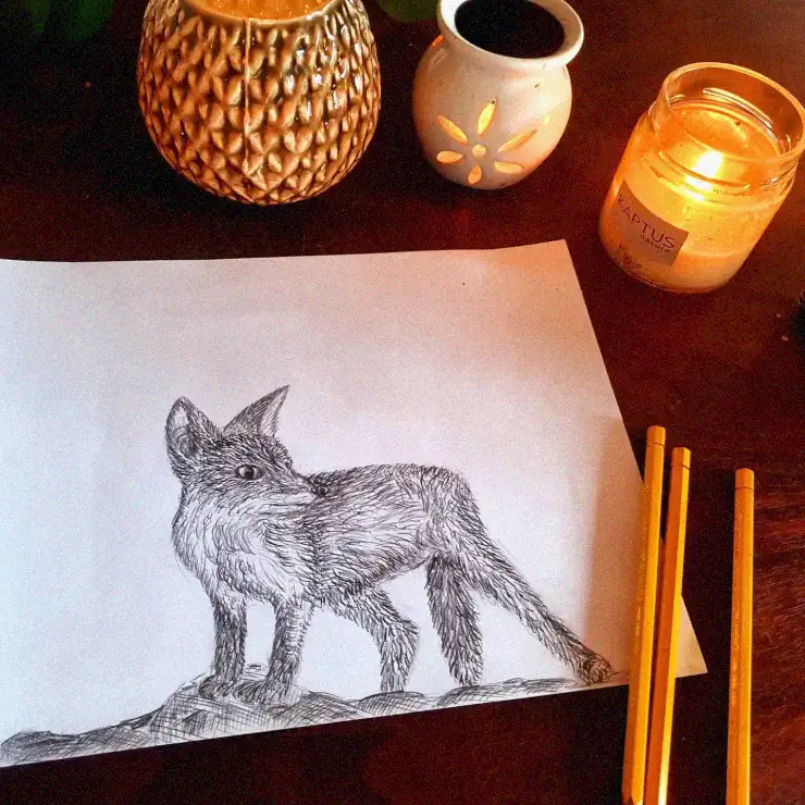 Still Life with Fox Sketch