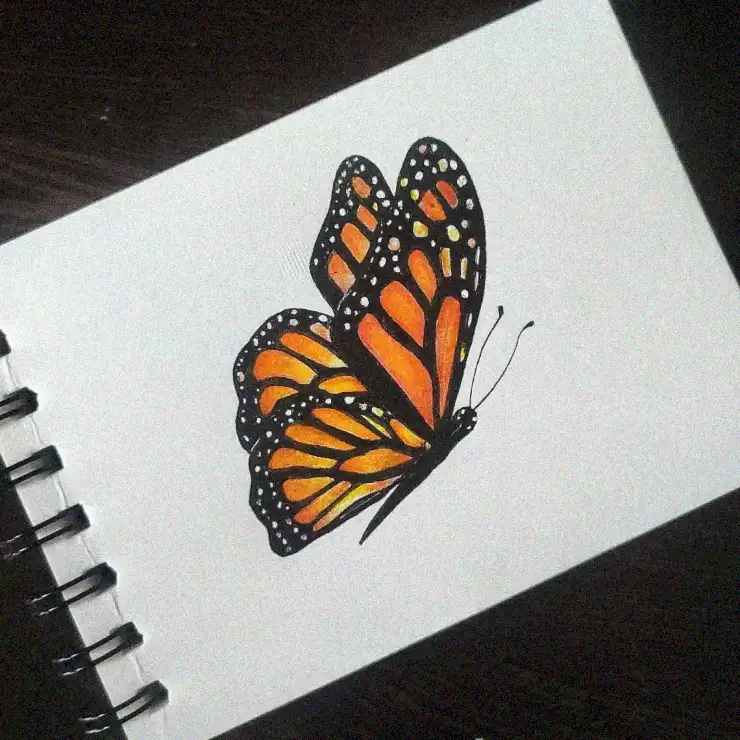 Monarch Butterfly Gracefully Sketched in White