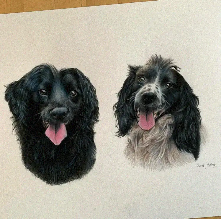 Doggish Frolics in Colored Pencil by Sarah Machan