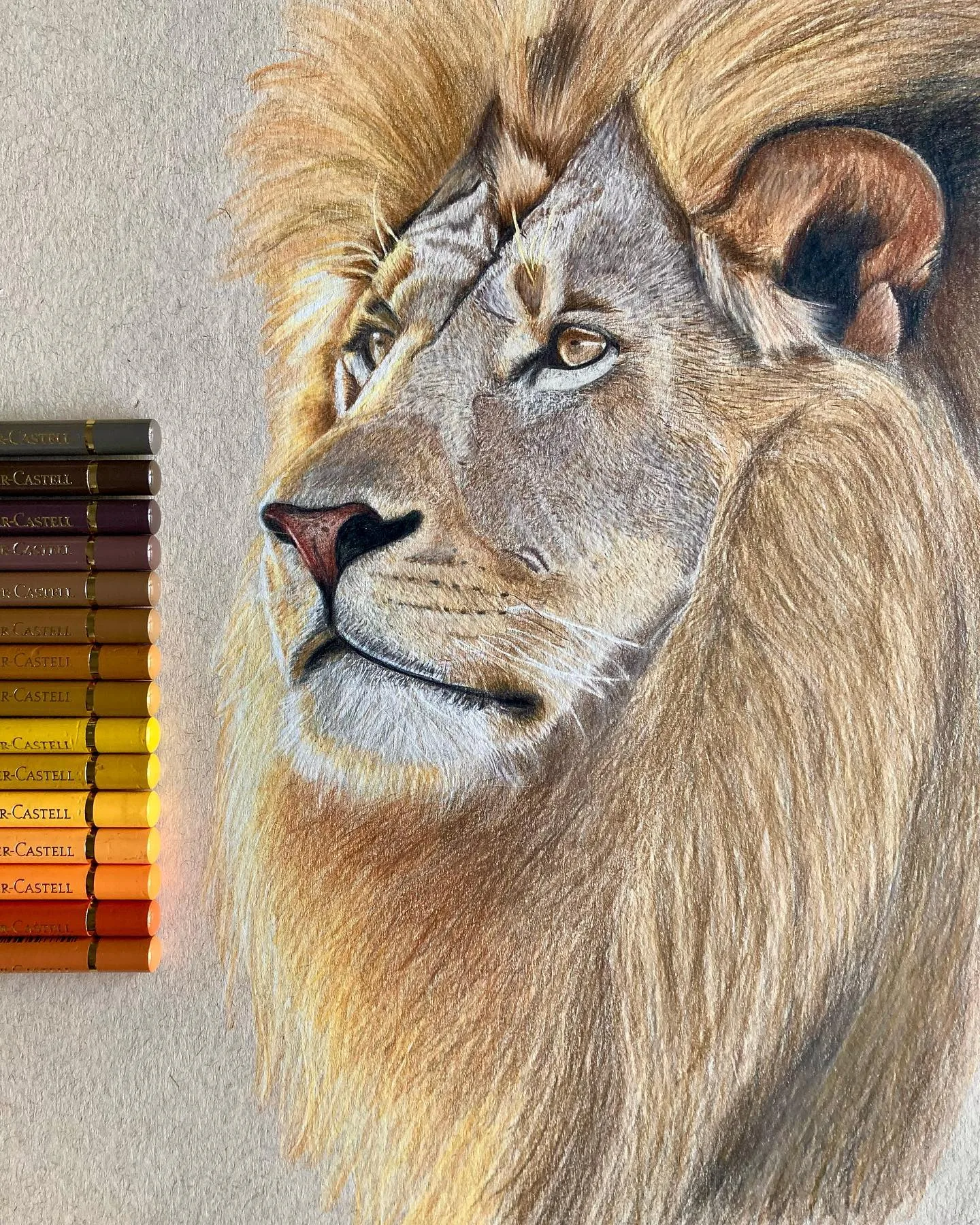 Lion Portrait Among Faber-Castell Colors