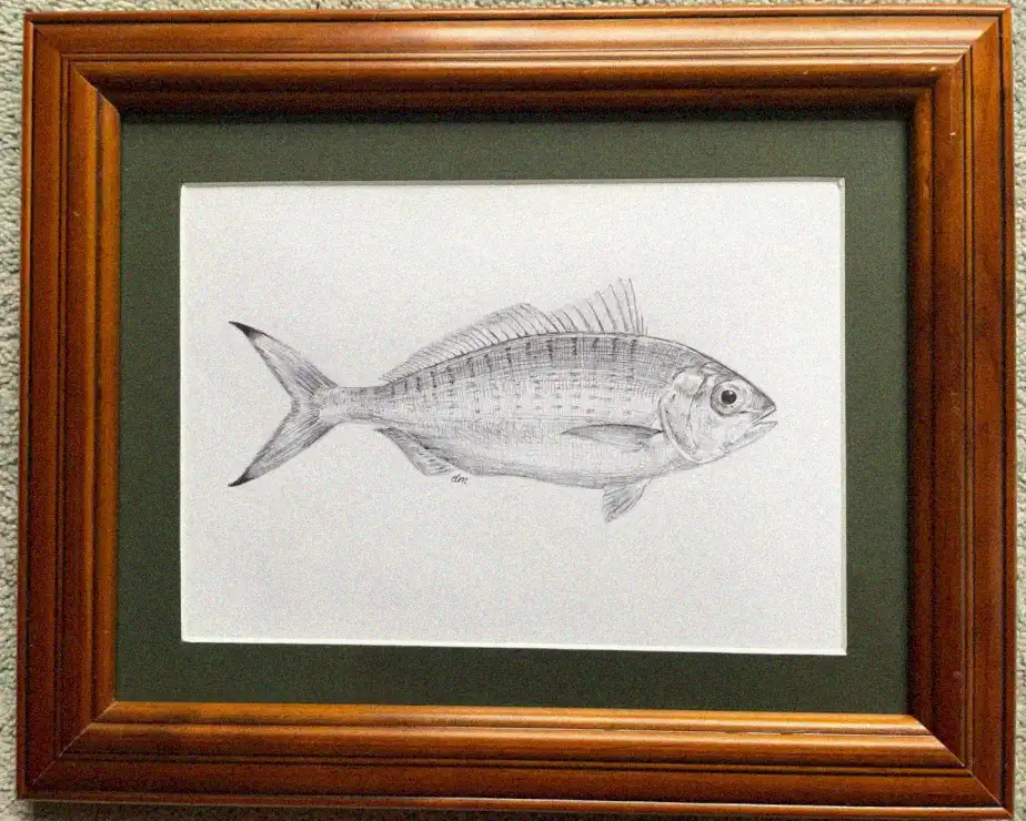 Ornately Framed Fish in Pencil