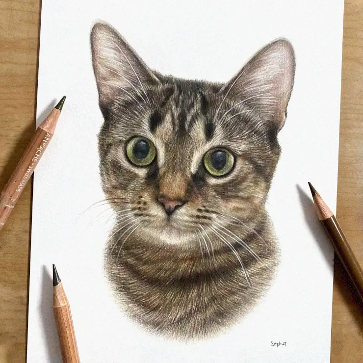 Expressive Gaze of a Sketched Feline