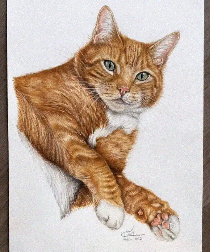 Ginger Cat's Emerald Gaze in Colored Pencil