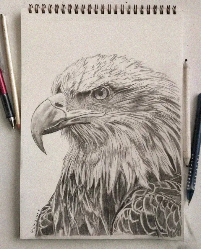 Eagle Sketch in Pencil's Precision