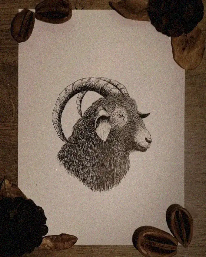 Ram Sketch amidst Pecan Shells