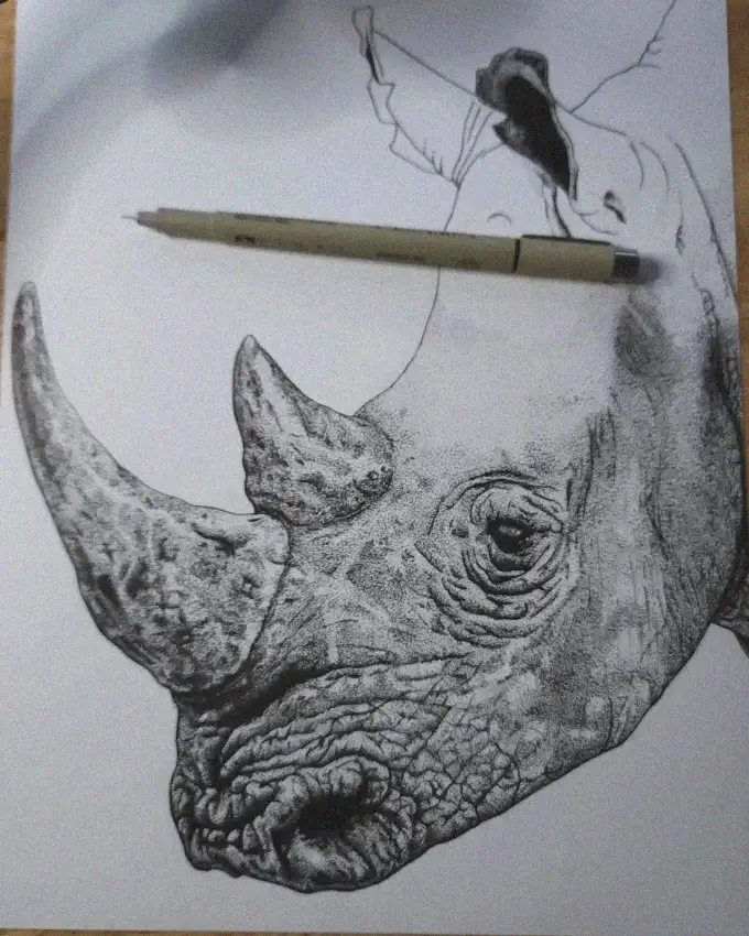 Rhinoceros Sketching Session in Progress
