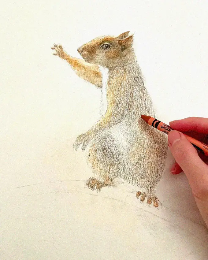 Sketching Lifelike Squirrels with Colored Pencils