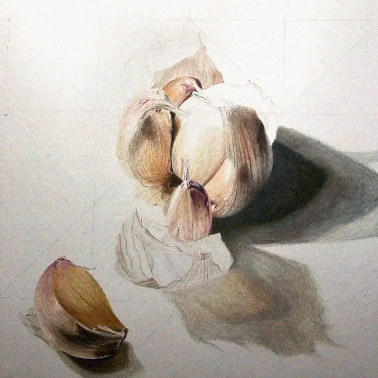 Garlic Bulb in Lavish Detail