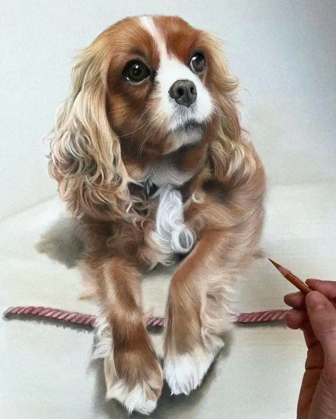 Artistic Gesture in Canine Portraiture