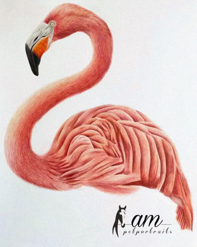 Vibrant Flamingo in Colored Pencil Artistry