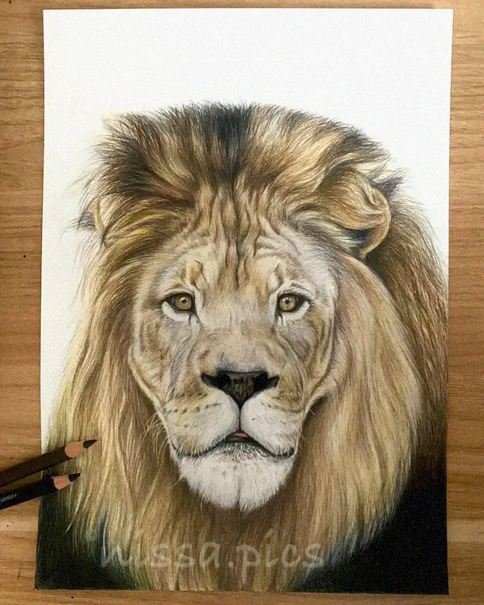 Lion's Portrait Showcasing Expressive Eyes