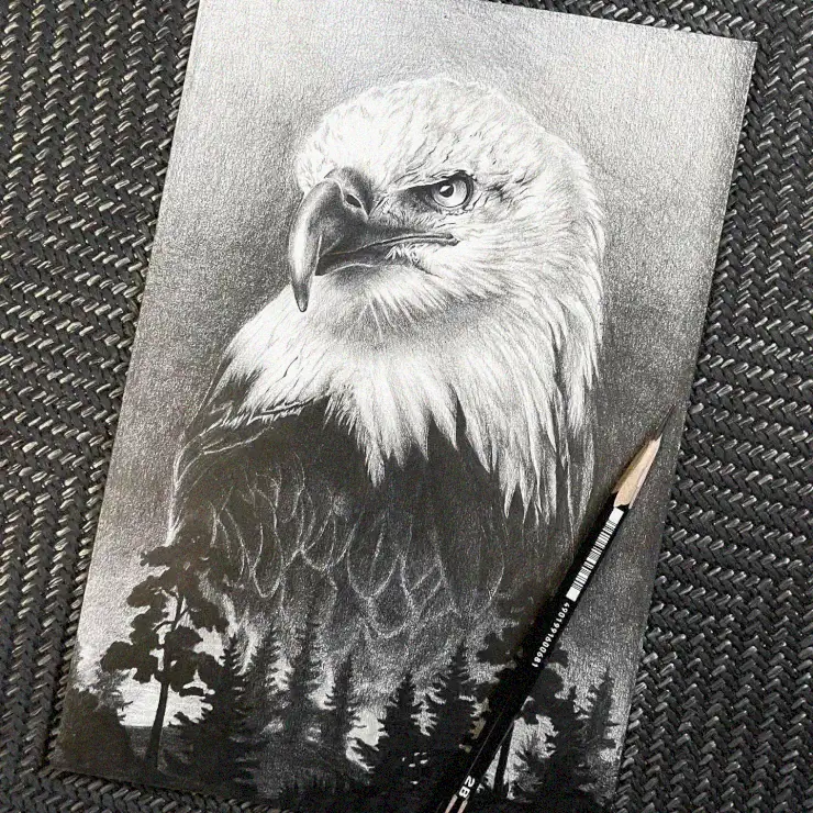 Eagle Drawing and Pencil on Textured Surface