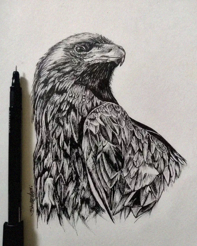 Ink Sketch of Majestic Eagle