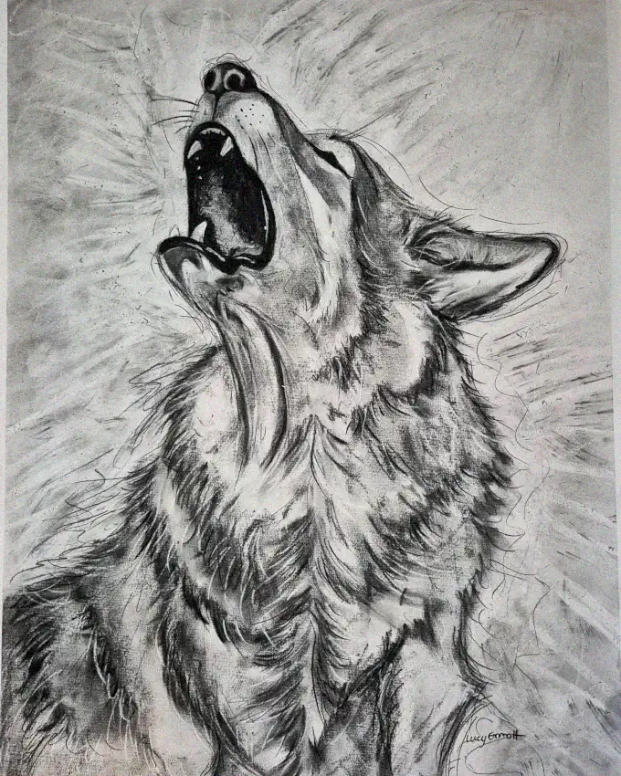 Howling Wolf: A Charcoal Symphony