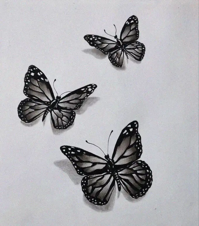 Butterfly Illustrations in Monochrome Hues