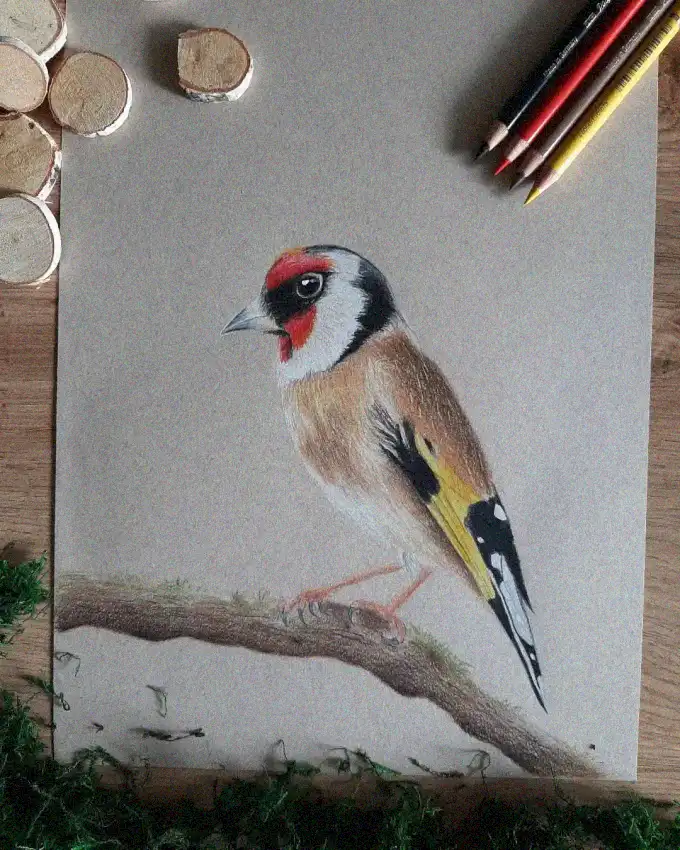 Goldfinch Melody in Pencils and Wood