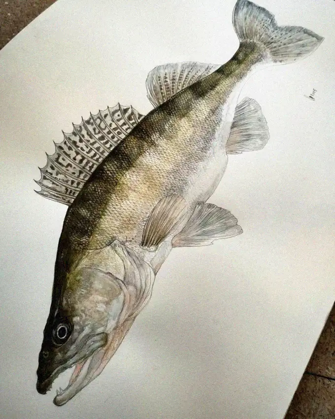 Intricate Portrait of a Scaly Finned Fish