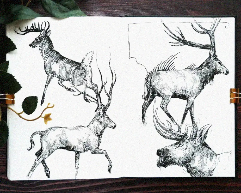 Sketchbook Symphony of Dynamic Deer