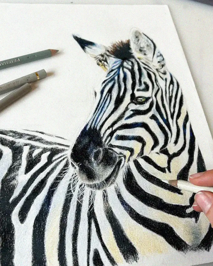 Drawing a Zebra with Skillful Hands