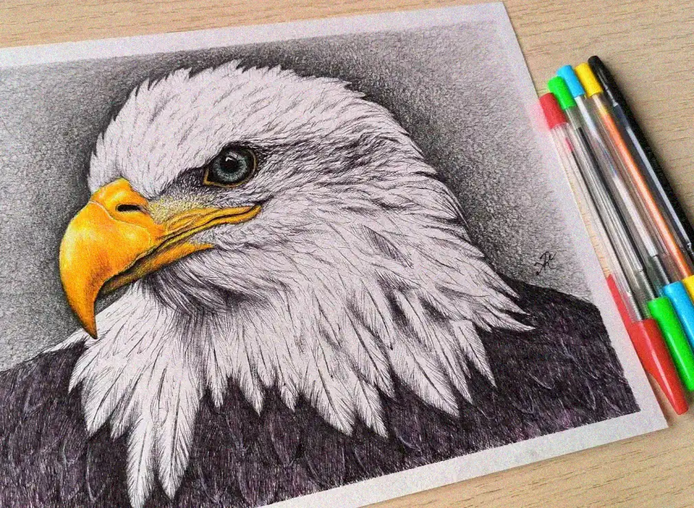 Eagle's Portrait in Vibrant Colors
