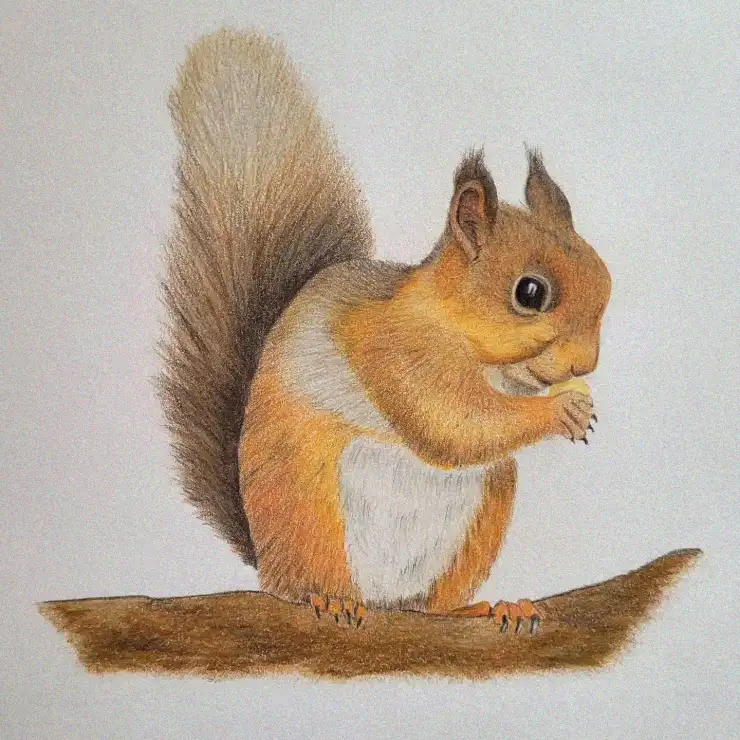 Squirrel's Snack in Vibrant Pencil Art