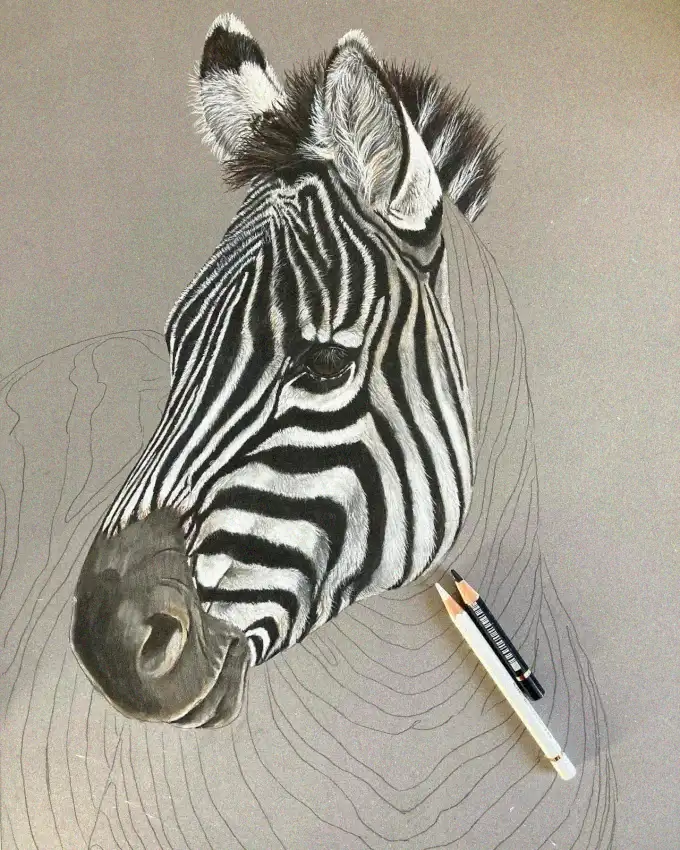 Interrupted Sketch: the Zebra and Pencil