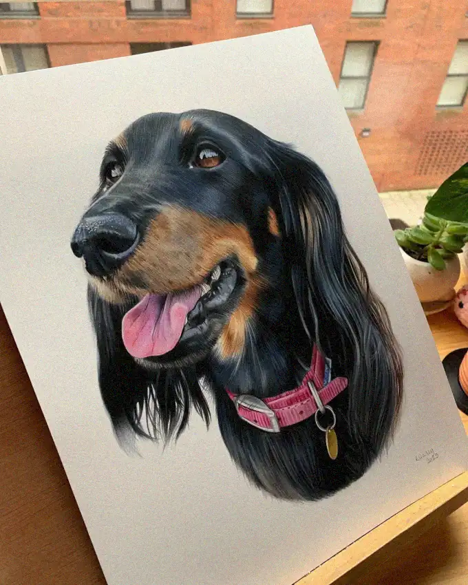 City Canine Chic in Detailed Artistry