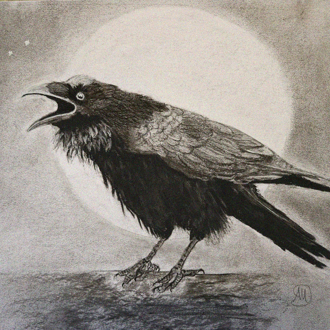 Midnight Serenade of the Raven