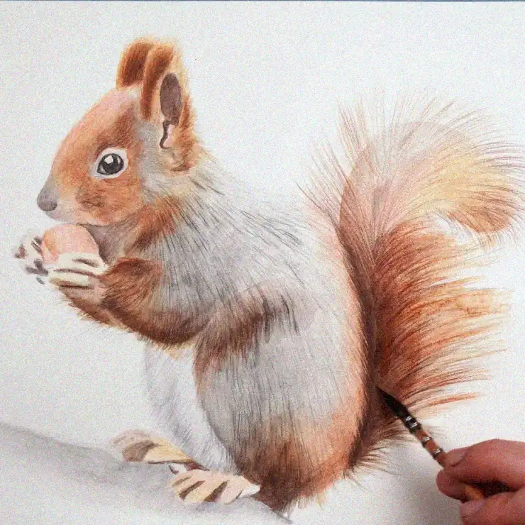 Creating Fluffiness: A Squirrel Comes to Life