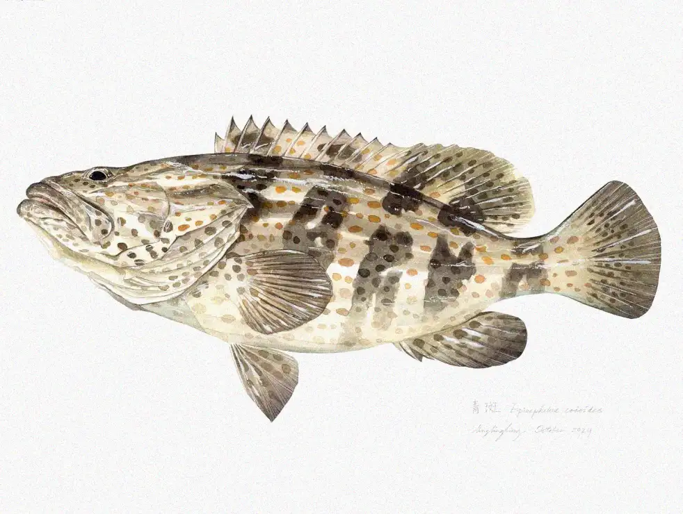 Aquatic Artistry: The Annotated Grouper"