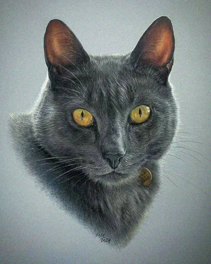 Golden Eyes on Grey: A Graphite Tale