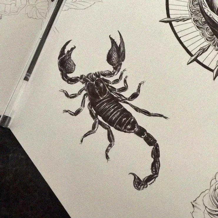 Scorpion's Sketch on Paper in Ink