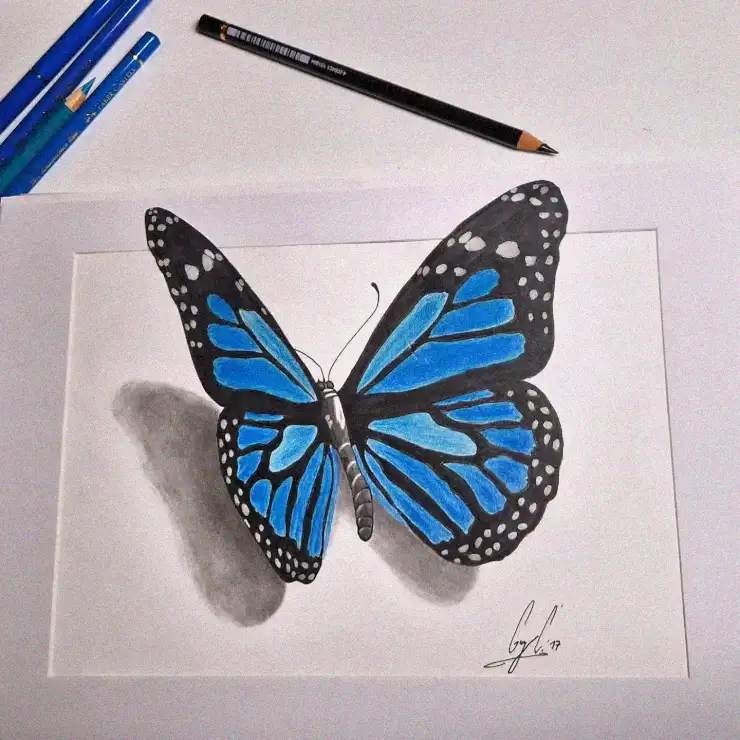 Butterfly Sketch amidst Creator's Tools