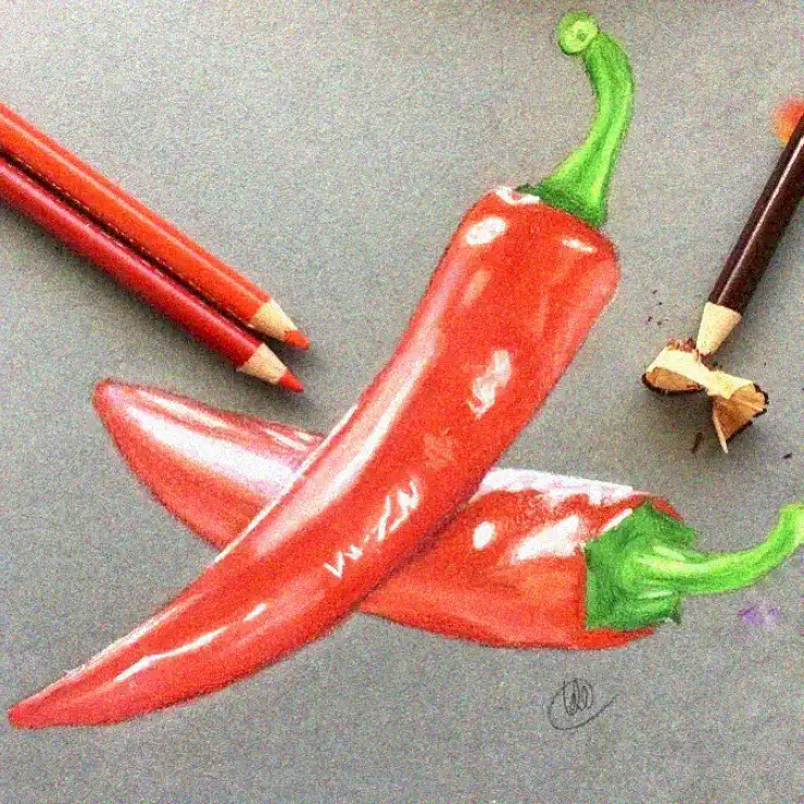 Spicy Art: Portraying Chilies in Pencil