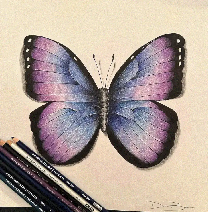 Whispers of Wings: A Butterfly's Canvas