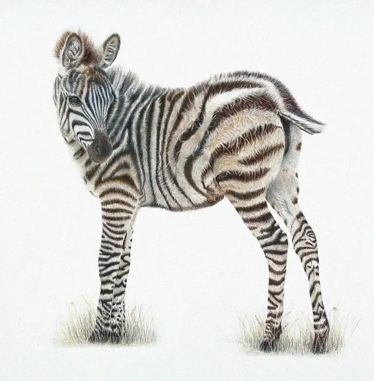 Zebra Whispers on the Serengeti Plain