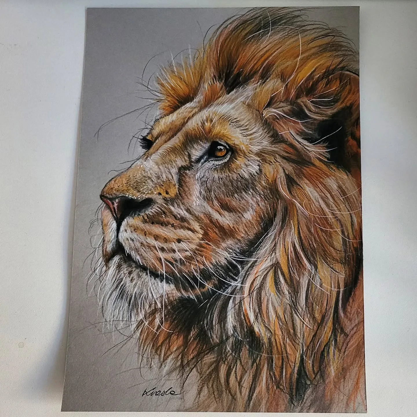 Vivid Profile of a Majestic Lion