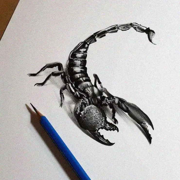 Scorpion Sketching with Blue Pencil