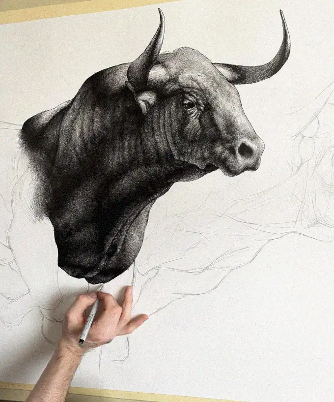 Sketching a Majestic Buffalo in Pencil