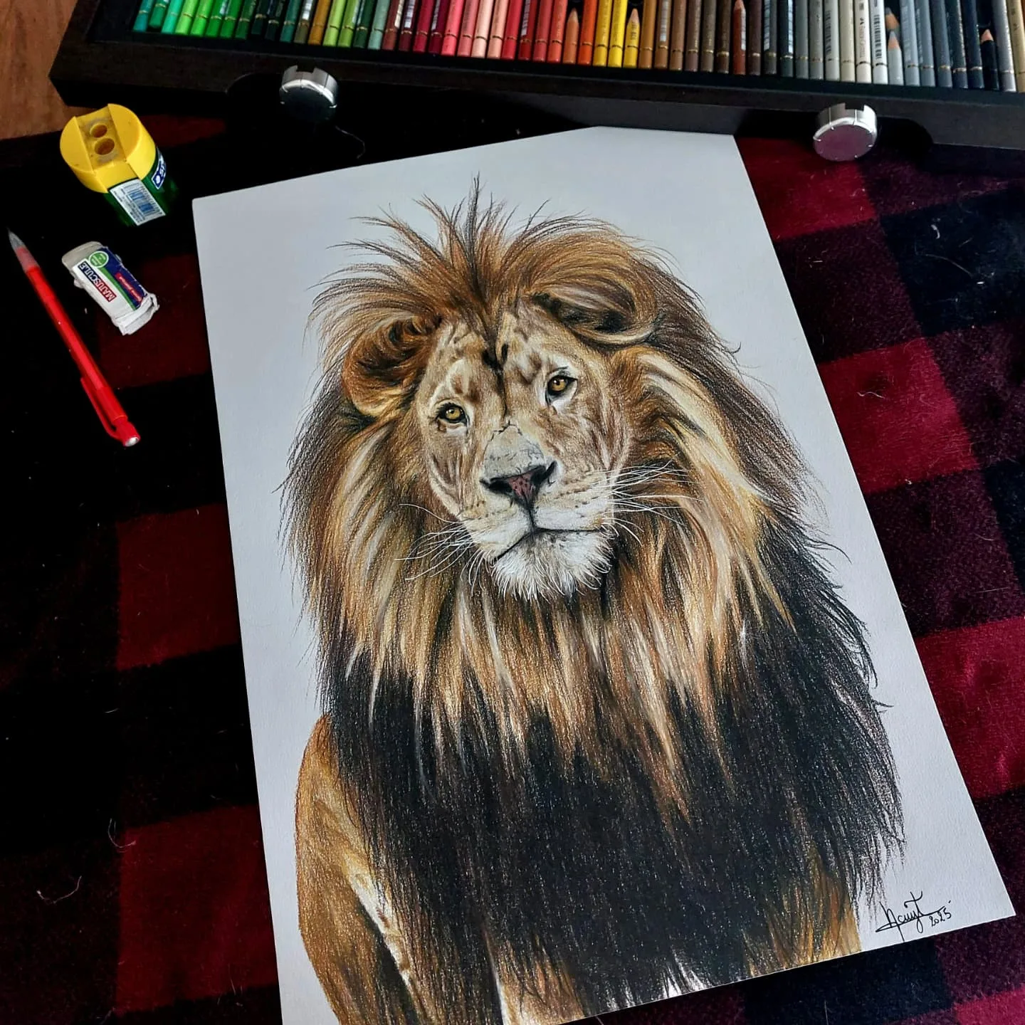 Lion Sketch Amidst Artistic Tools