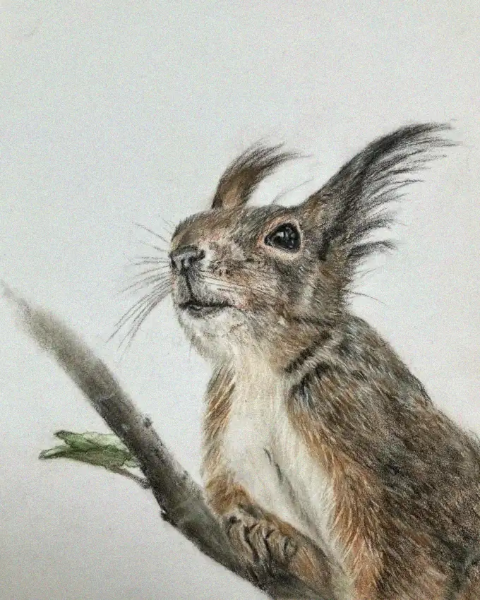 Expressive Eyed Squirrel in Nature's Grasp