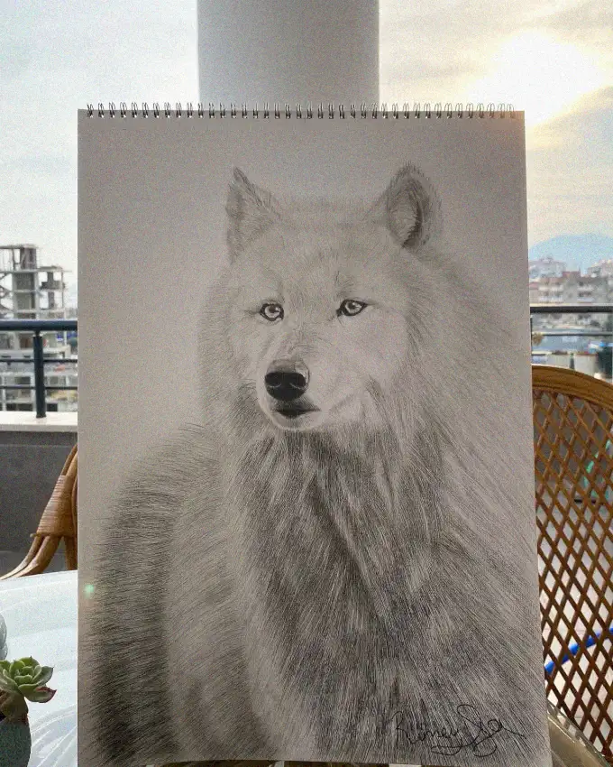 Wolf Sketch Amidst Balcony Vistas