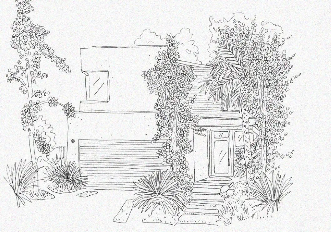Modern Home Amidst Verdant Foliage Sketch