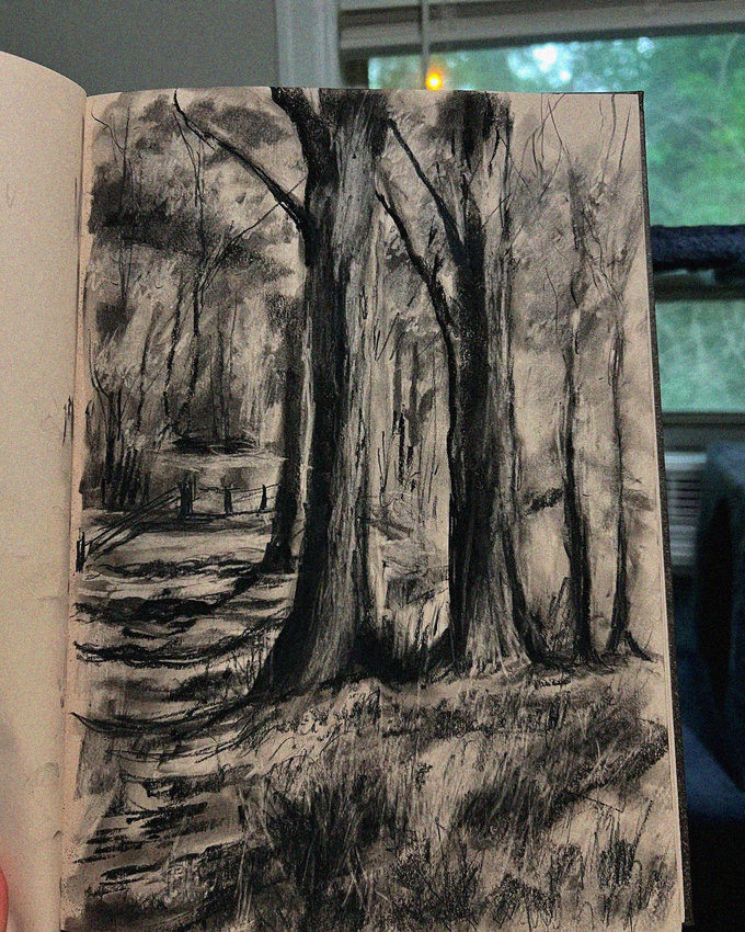 Whispers of the Charcoal Forest